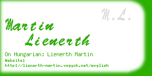 martin lienerth business card